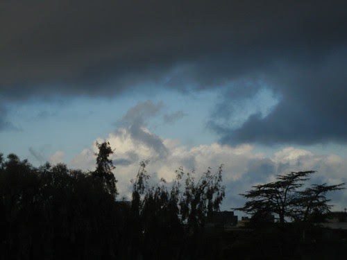 Stomy Day _ 8379 - 500