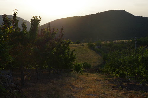 IMGP1245
