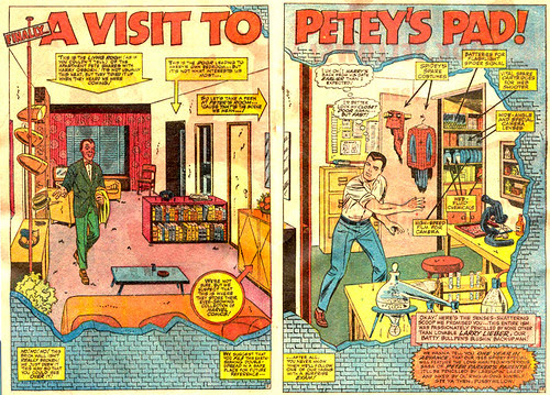 "A Visit to Petey's Pad" from Amazing Spider-Man Annual #4