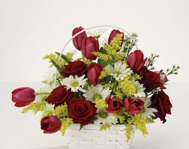 Is The Merriwick Flower Real / Is The Merriwick Flower Real : Merriwick