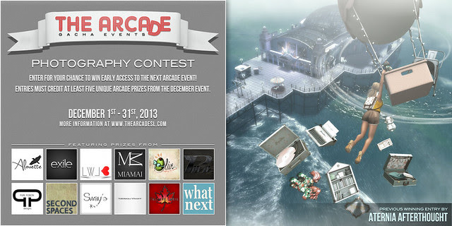 The Arcade Photography Contest - December, 2013
