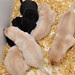 Pup Pictures
