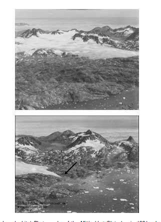 mittivakkat terminus 1931