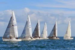 J/24s sailing upwind off Australia