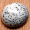Buy Dendritic Agate from GemSelect