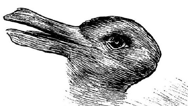 Bildergebnis für duck rabbit wittgenstein