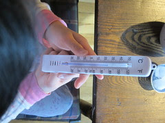 Olivia Measuring Her Body Temperature