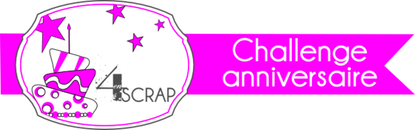 Badge chalenge anniversaire 660 par 208
