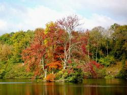 COYE-LA-FORET
