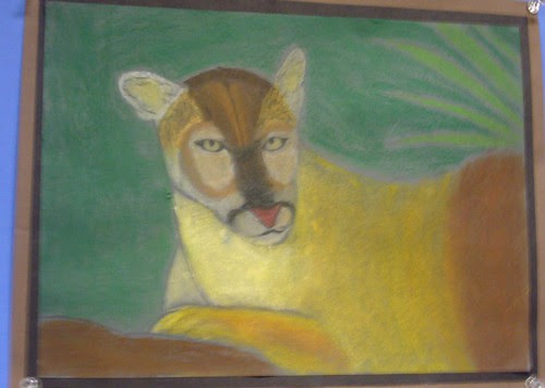 cat