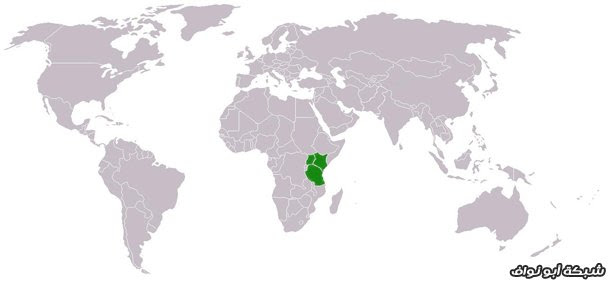 أهم اللغات في العالم أهم اللغات في العالم