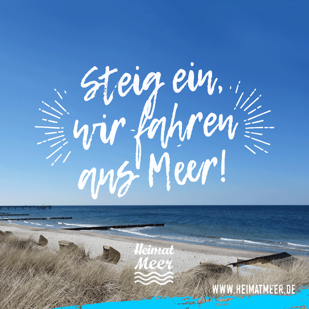 Geburtstag Spruch Urlaub Fariba Ansari