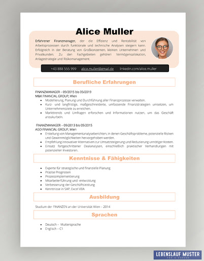 Curriculum Vitae Format Pdf Free Download : 228 Free Professional