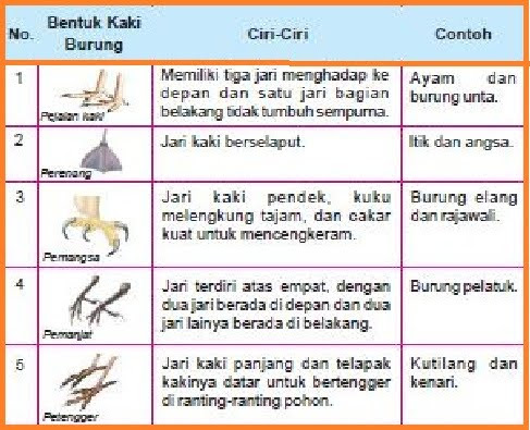 Proses Penyesuaian Diri Makhluk Hidup Terhadap Lingkungannya Disebut Coba Sebutkan