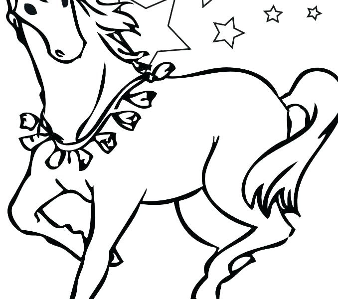 Clydesdale Horse Coloring Page - 347+ SVG PNG EPS DXF File