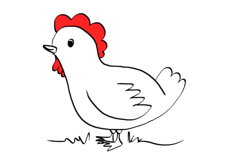 Gambar Mewarnai Ayam Bertelur Mewarnai Ayam Kumpulan Contoh Soal 1