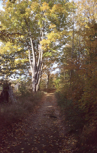 Up the Dominion Trail