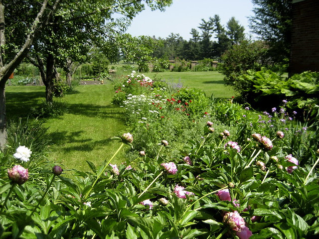 springtime in june.