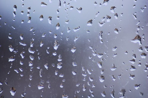 raindrops on the window