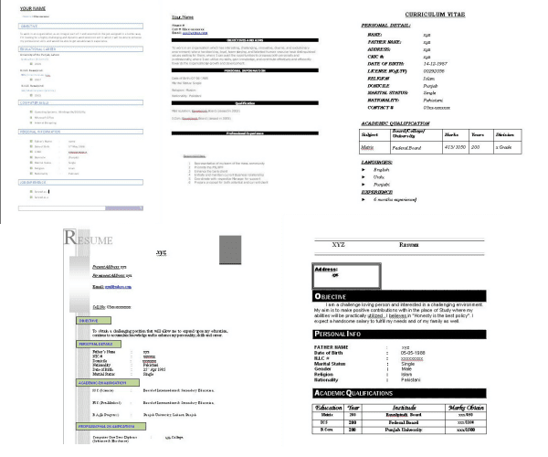 Professor cv examples picture