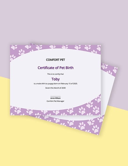 Fake Birth Certificate Maker Free / Birth Certificate ...