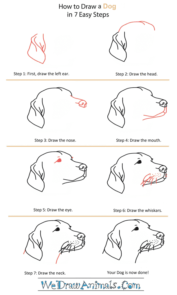 Top How To Draw A Dog Head in the world The ultimate guide 