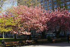 newyork_2013_87