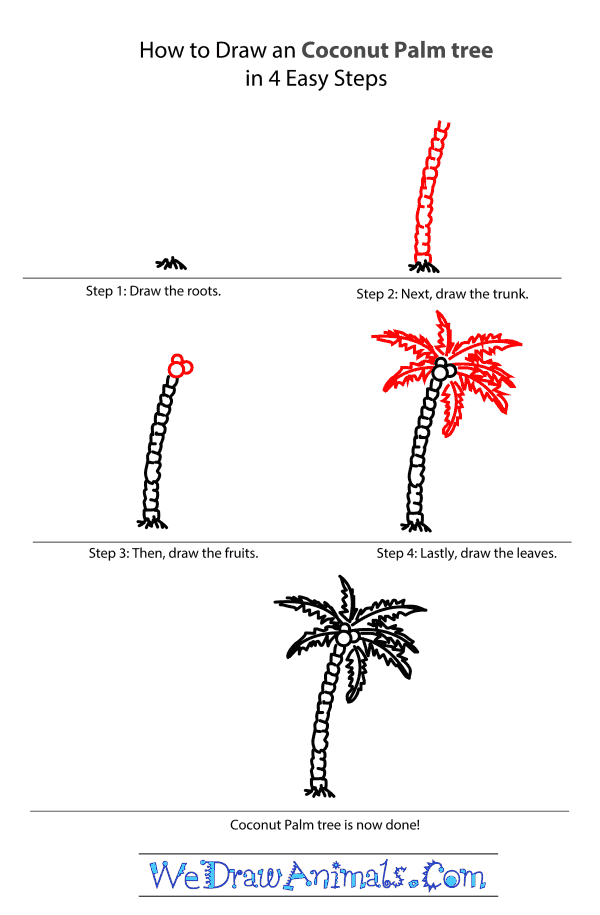 Easy Cartoon Easy Coconut Tree Drawing : Easy step by step drawing