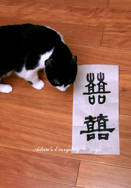 penmanship and cat 4