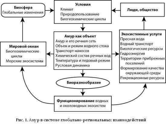 Схема действия экологического фактора на организм