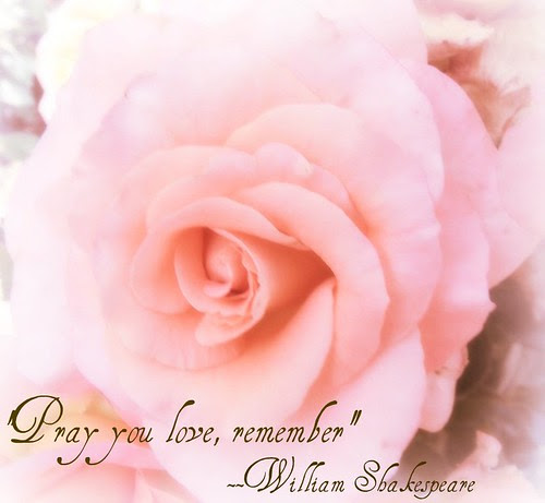Pink Rose with verse