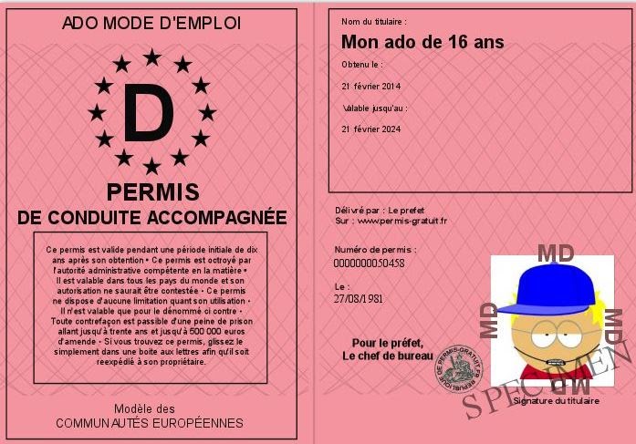 34+ Carte Anniversaire 16 Ans Fille PNG - haiti