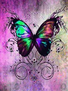 Colour butterfly