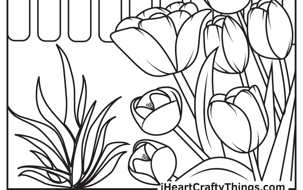 Color Page : Rainbow Coloring Page With Color Names Printable Template