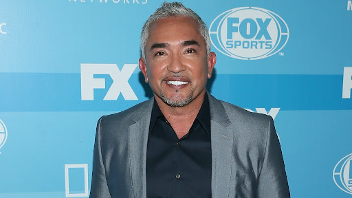 Cesar Millan Cleared of Animal Cruelty Charges Following Investigation | 9news.com