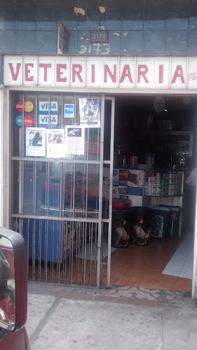 Pet's Land - San Martín de Porres