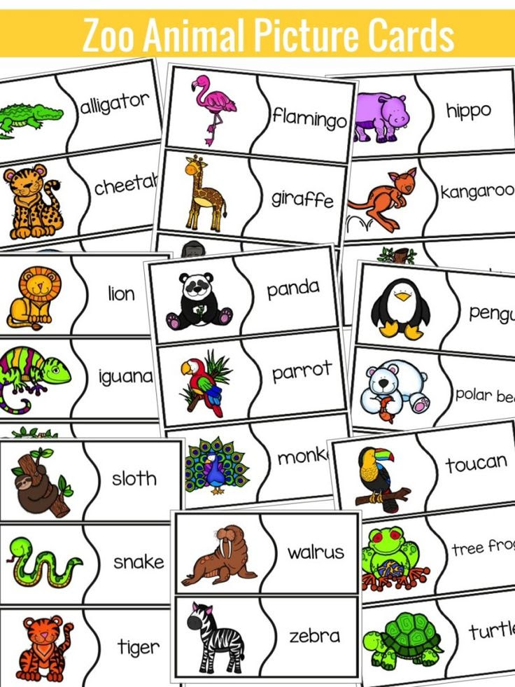 33+ Zoo Animals Games For Preschool Pictures