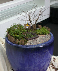 Mini Gardens