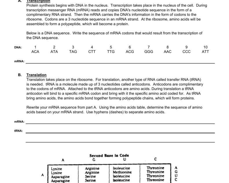 Dna Replication Worksheet Answer Key Quizlet / 30 atp Worksheet Answer