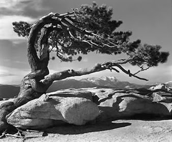 http://www.koupoukis.gr/wp-content/uploads/HLIC/indy.org/files/events/ansel-adams-yosemite.jpg