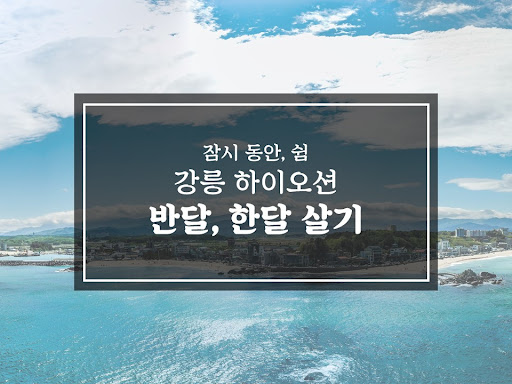 (강릉생활 76일차) 동해시티버스투어 준비 3