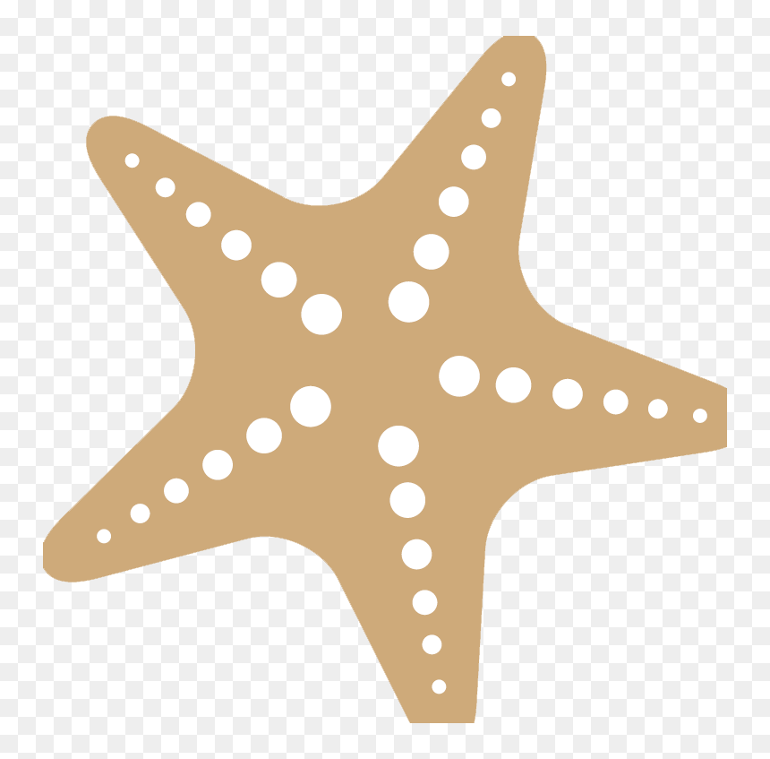 Starfish Svg Free - 313+ SVG File for Silhouette