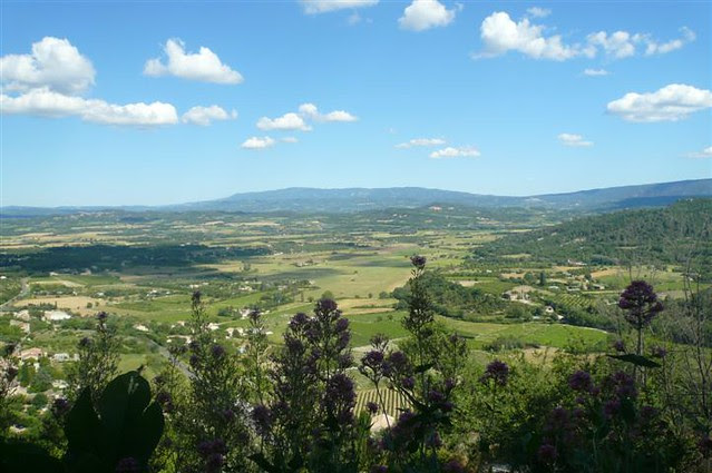 P1230316