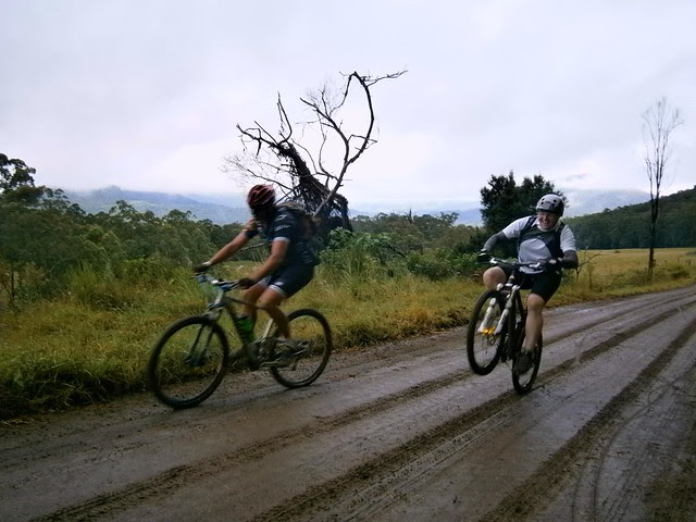 Tweed Range Road