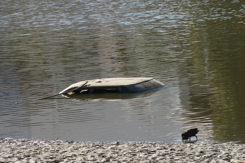 The River Torrens