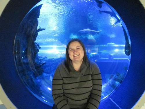 At the aquarium
