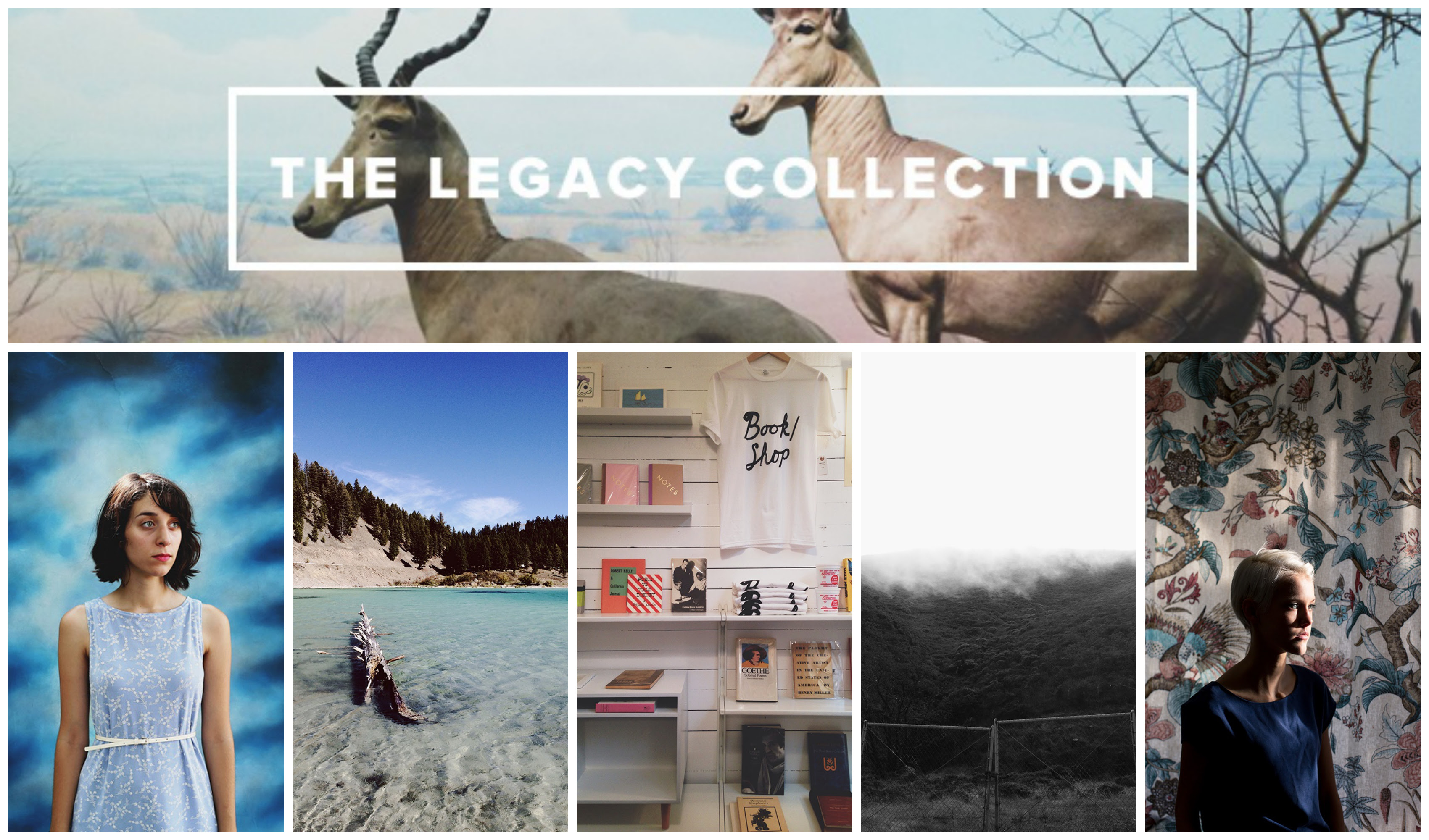 Vsco Legacy