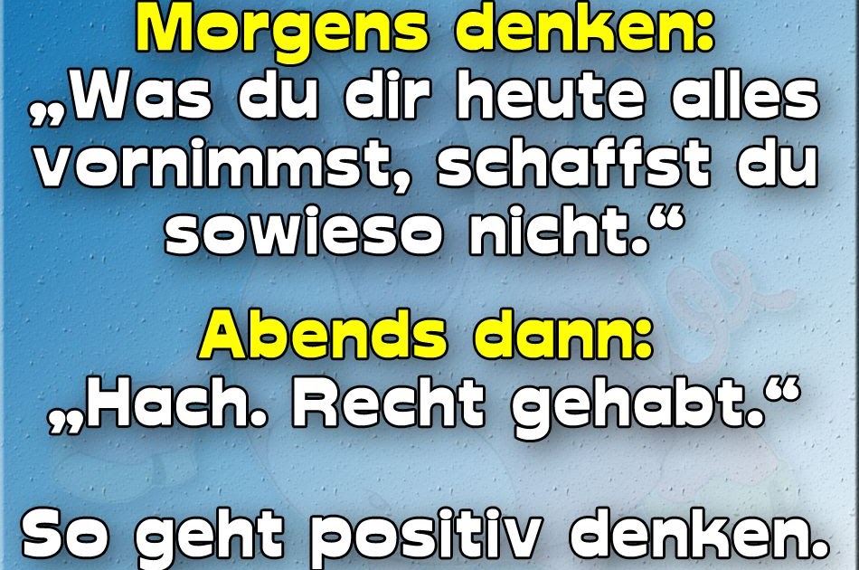 Sau Lustige Bilder Und Sprüche Lustige Sprüche