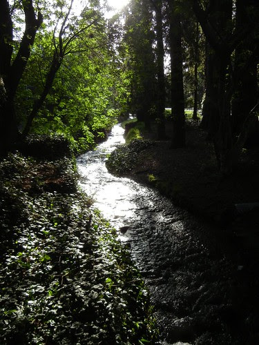 DSCN2290