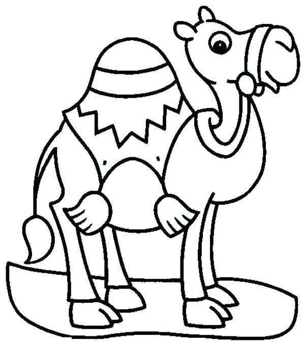C Is For Camel Coloring Page  MiaUnikate